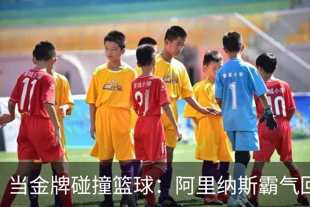 当金牌碰撞篮球：阿里纳斯霸气回应欧洲赛场